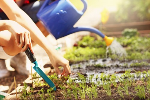 Professional garden clearance service in Westminster