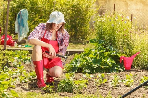 A woman wearing a wide-brimmed hat, red rubber boots, and a checkered shirt perched on her knees in a garden, tending to small leafy plants in a well-maintained vegetable bed with visible green foliage. The garden features a mix of cultivated soil and leafy greens, with a backdrop of mature trees and flowering plants, typical of outdoor spaces in Westminster. A pink watering can is positioned on the ground nearby, and clothes are hung to dry on a makeshift clothesline amidst the lush greenery. The scene suggests a sunny, mild day suitable for gardening activities, emphasizing careful plant cultivation and outdoor maintenance, consistent with professional gardening and lawn care services in the Westminster area.