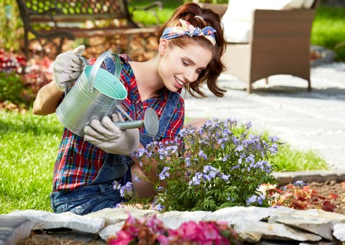 Eco-friendly lawn maintenance in Westminster