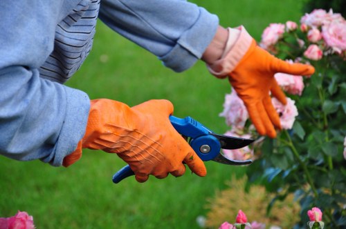 Precision edging service in Westminster