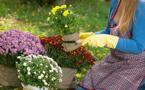 Accessible documents and large-print materials laid out beside lawn care equipment