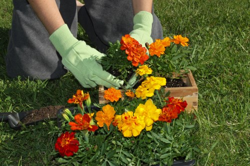 Well-maintained lawn showcasing professional mowing services