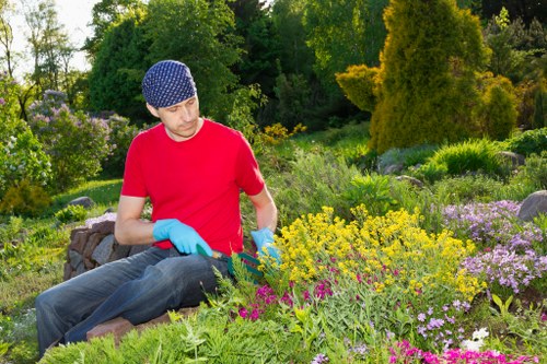 Electric trimmers used for precise hedge trimming