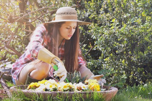 Eco-friendly lawn mowing practices in a Westminster garden