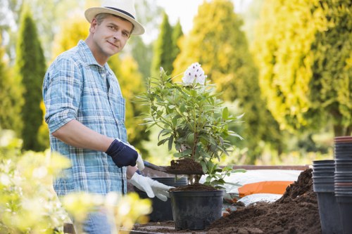 Sustainable gardening practices in a Westminster garden