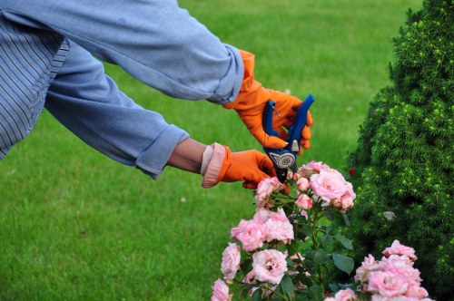 Choosing the right lawn mowing service in Westminster