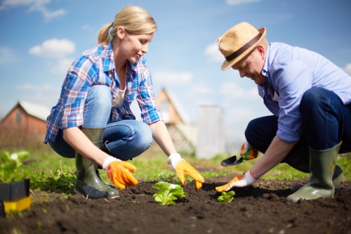 Eco-friendly lawn care practices by About Us Lawn Mowing