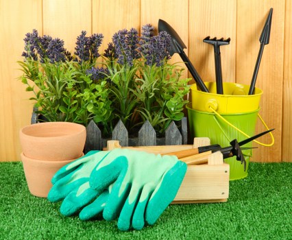 Integrated pest management in a lush Westminster garden